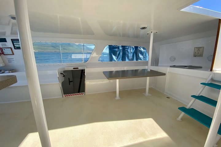Disfruta de un lujoso crucero con cena al atardecer por la costa de Maui a bordo de un catamarán, foto 7 | wizardtrip