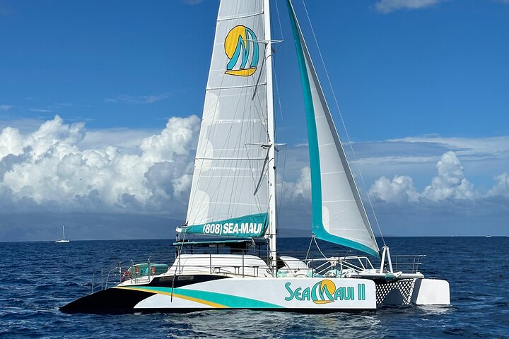 カアナパリビーチ発マウイ島の午後のシュノーケルボートツアー。シュノーケリング、ウミガメ、軽食が含まれます、写真12 | wizardtrip