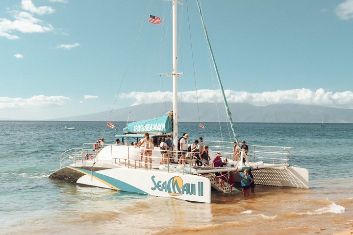 Aventura de snorkel desde Ka'anapali Beach, Maui, con tortugas y vida marina, foto 7 | wizardtrip