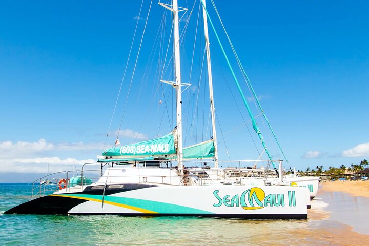 Aventura de snorkel desde Ka'anapali Beach, Maui, con tortugas y vida marina, foto 8 | wizardtrip