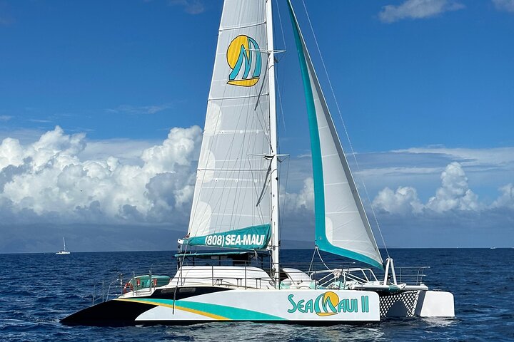 Aventura de snorkel desde Ka'anapali Beach, Maui, con tortugas y vida marina, foto 10 | wizardtrip