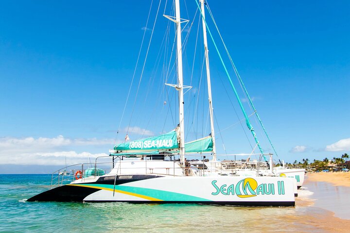 Walbeobachtungskreuzfahrt vor Maui mit offener Bar und Naturführer, Foto 11 | wizardtrip