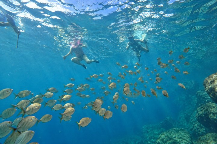Kajakk- og snorklingseventyr som utforsker grotter langs kysten av Gran Canaria, foto 17 | wizardtrip