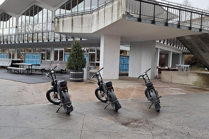 Esplora i diversi quartieri e monumenti di Montreal in un tour in bici elettrica, godendoti percorsi panoramici e cultura locale, foto 6 | wizardtrip