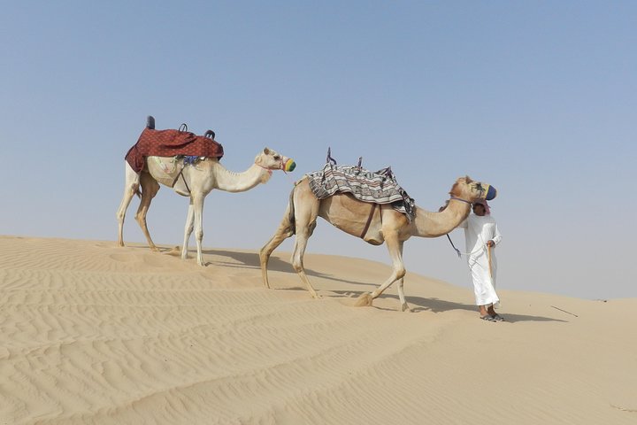 Safari désert de Dubaï exaltant avec dune bashing, quad, balades à dos de dromadaire et dîner BBQ, photo 12 | wizardtrip