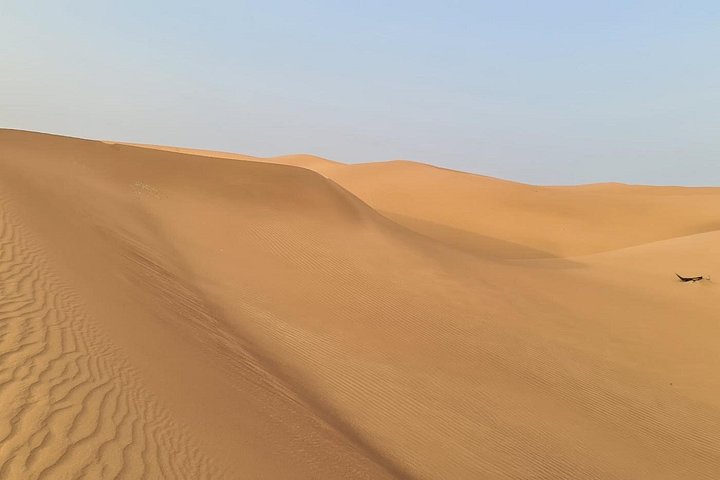 Safari désert de Dubaï exaltant avec dune bashing, quad, balades à dos de dromadaire et dîner BBQ, photo 27 | wizardtrip