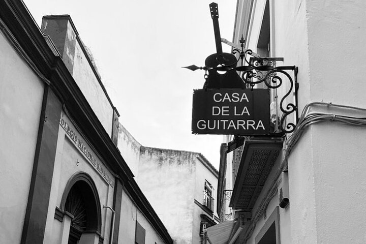 Experience a passionate flamenco show and explore a unique guitar museum at Casa de la Guitarra in Seville, photo 9 | wizardtrip