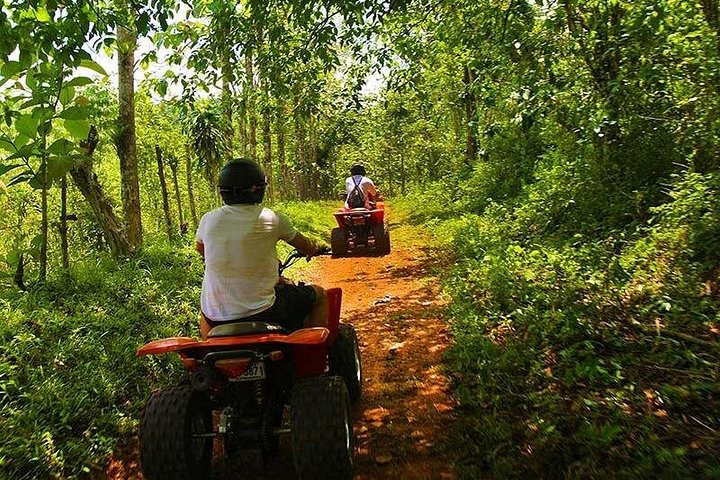 ATV-tour door het Costa Ricaanse regenwoud naar junglewatervallen nabij Jacó, foto 20 | wizardtrip
