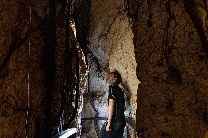 Visite guidée du spectaculaire système de la Cathedral Cave, présentant des merveilles géologiques et une histoire ancienne, photo 9 | wizardtrip