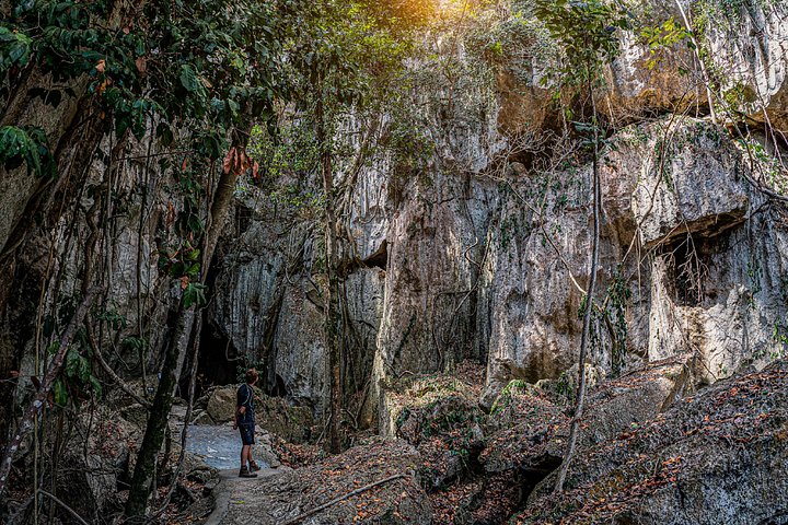 Visite guidée du spectaculaire système de la Cathedral Cave, présentant des merveilles géologiques et une histoire ancienne, photo 11 | wizardtrip