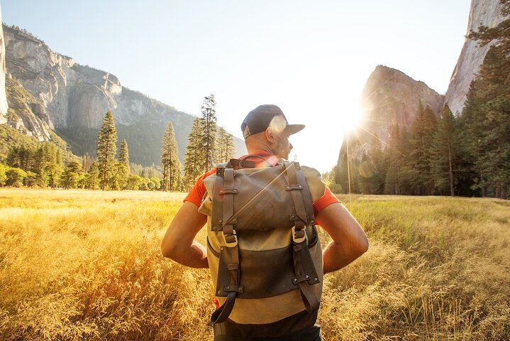 En naturskøn 2-dages guidet tur i Yosemite National Park fra San Francisco med vandfald, kæmpetræer og fantastiske udsigtspunkter, foto 6 | wizardtrip