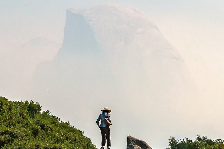 En naturskøn 2-dages guidet tur i Yosemite National Park fra San Francisco med vandfald, kæmpetræer og fantastiske udsigtspunkter, foto 14 | wizardtrip