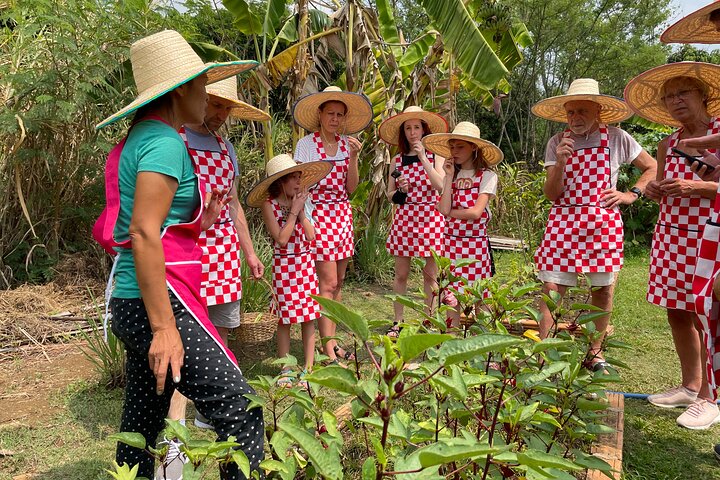 Thaise kookleservaring op een biologische boerderij in Chiang Mai, Thailand, foto 7 | wizardtrip