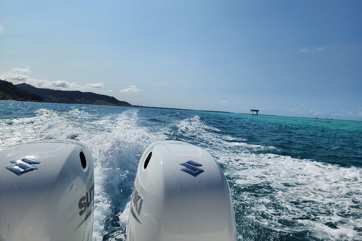 Speedboot tour van Mauritius eilanden met BBQ lunch en dolfijnen spotten, foto 4 | wizardtrip