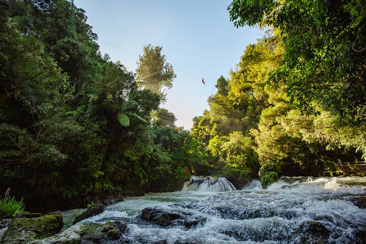 Rotorua Ziplines - Zipline über Wasserfälle - Kostenlose Sauna | wizardtrip
