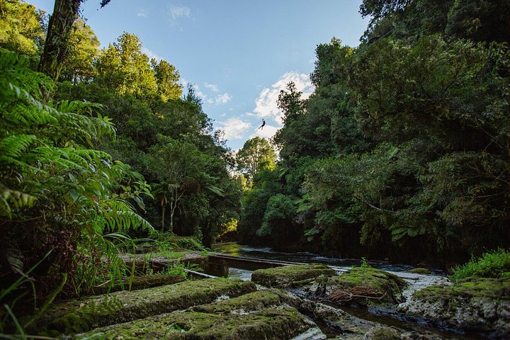 Aventura de tirolina sobre cascadas y bosques nativos en Rotorua, Nueva Zelanda, foto 8 | wizardtrip