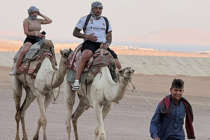 Opplev en spennende 5-i-1 ørkensafari i Sharm El Sheikh, med ATV-kjøring, kamelridning, beduinmiddag og stjernekikking, foto 11 | wizardtrip
