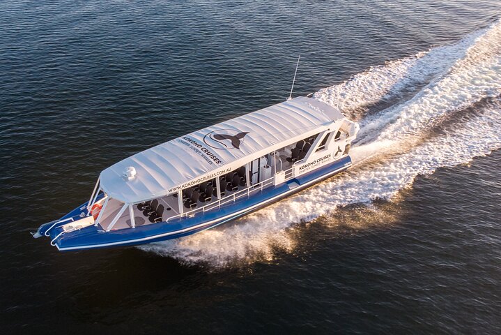 Opplev spennende hvalsafari-cruise på Gold Coast ombord på et raskt, moderne fartøy, foto 7 | wizardtrip