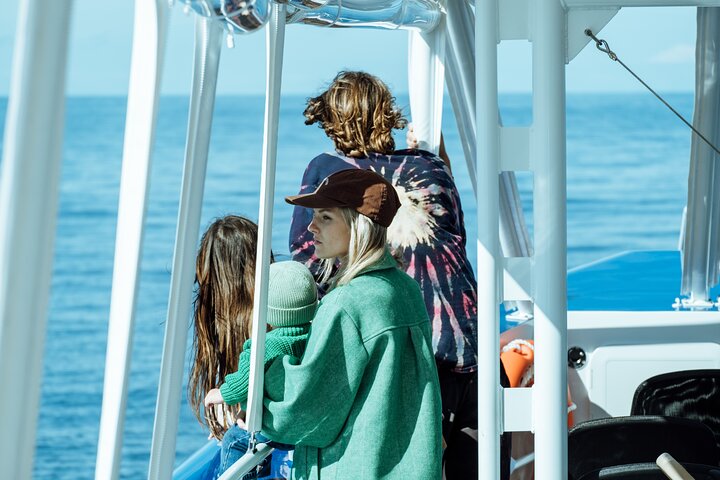 Opplev spennende hvalsafari-cruise på Gold Coast ombord på et raskt, moderne fartøy, foto 17 | wizardtrip