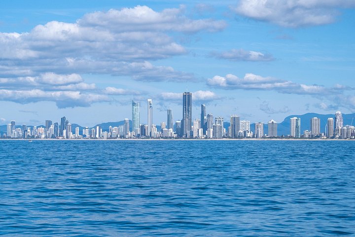 Opplev spennende hvalsafari-cruise på Gold Coast ombord på et raskt, moderne fartøy, foto 22 | wizardtrip