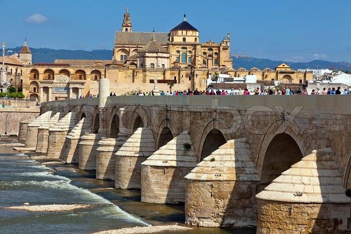 Guidad tur av Córdobas Mezquita-katedral, Alcázar och judiska kvarter, foto 6 | wizardtrip