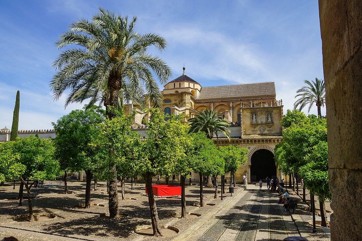Guidad tur av Córdobas Mezquita-katedral, Alcázar och judiska kvarter, foto 12 | wizardtrip