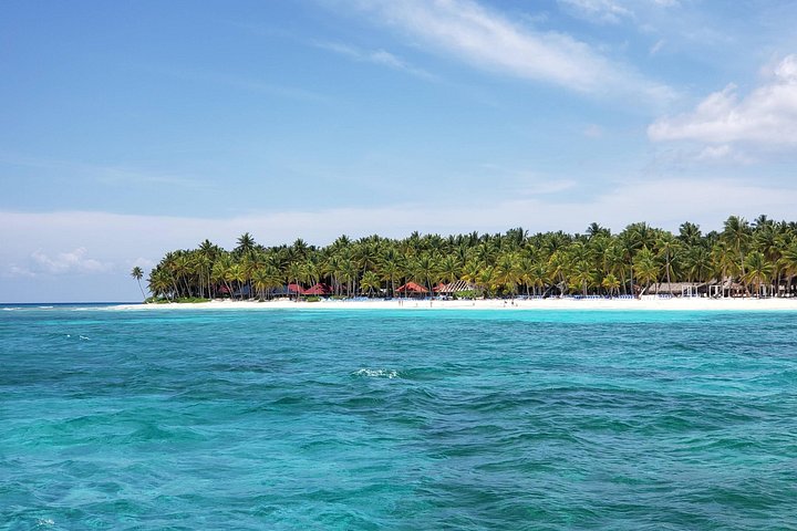 Full day excursion to Saona Island, Dominican Republic, featuring natural pools, beaches, and catamaran cruises, photo 13 | wizardtrip