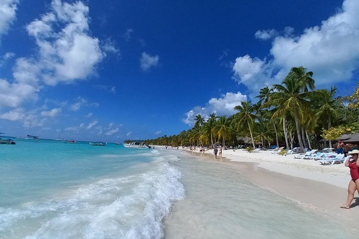 Full day excursion to Saona Island, Dominican Republic, featuring natural pools, beaches, and catamaran cruises, photo 14 | wizardtrip