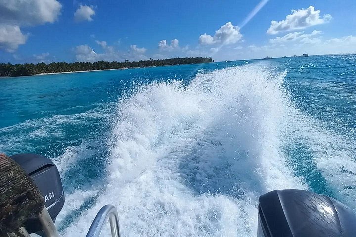 Full day excursion to Saona Island, Dominican Republic, featuring natural pools, beaches, and catamaran cruises, photo 15 | wizardtrip
