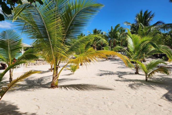 Full day excursion to Saona Island, Dominican Republic, featuring natural pools, beaches, and catamaran cruises, photo 22 | wizardtrip