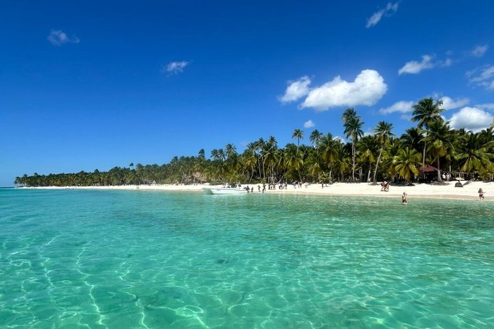 Full day excursion to Saona Island, Dominican Republic, featuring natural pools, beaches, and catamaran cruises, photo 25 | wizardtrip