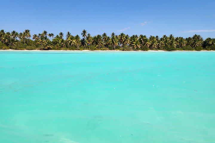 Full day excursion to Saona Island, Dominican Republic, featuring natural pools, beaches, and catamaran cruises, photo 36 | wizardtrip