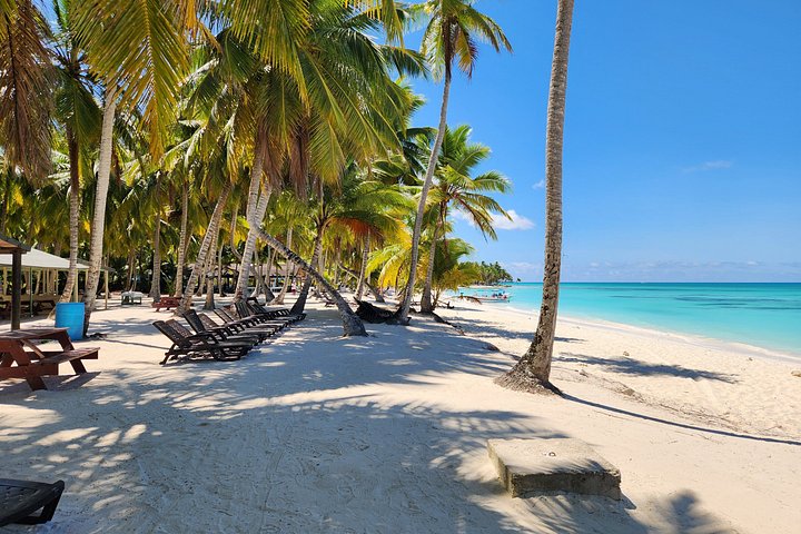 Full day excursion to Saona Island, Dominican Republic, featuring natural pools, beaches, and catamaran cruises, photo 43 | wizardtrip