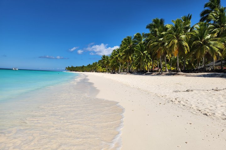 Full day excursion to Saona Island, Dominican Republic, featuring natural pools, beaches, and catamaran cruises, photo 44 | wizardtrip