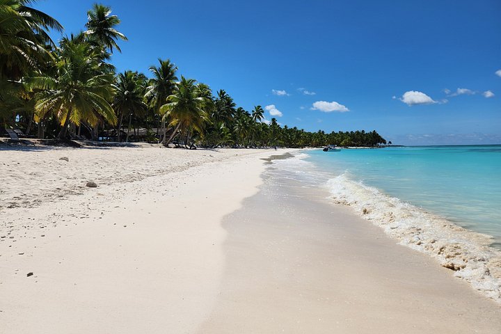 Full day excursion to Saona Island, Dominican Republic, featuring natural pools, beaches, and catamaran cruises, photo 45 | wizardtrip