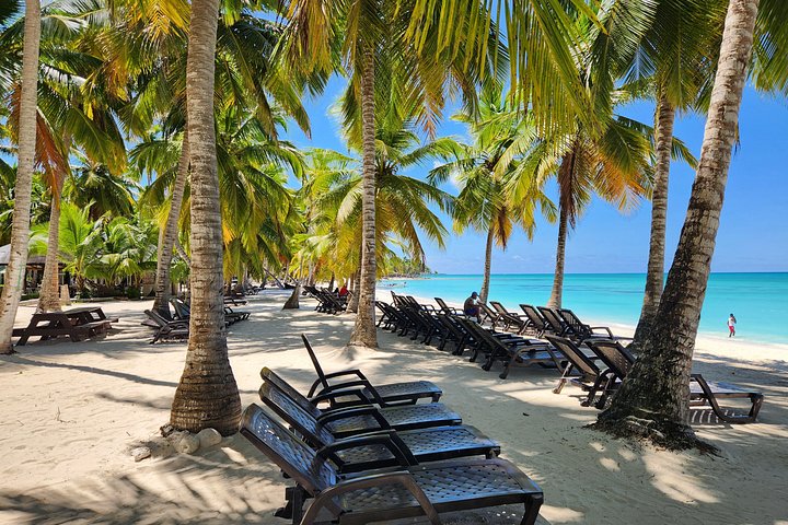 Full day excursion to Saona Island, Dominican Republic, featuring natural pools, beaches, and catamaran cruises, photo 46 | wizardtrip