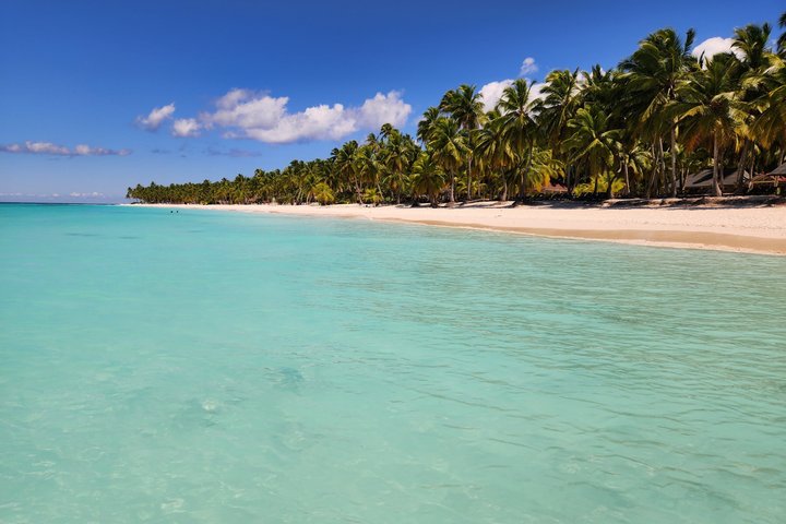 Full day excursion to Saona Island, Dominican Republic, featuring natural pools, beaches, and catamaran cruises, photo 47 | wizardtrip