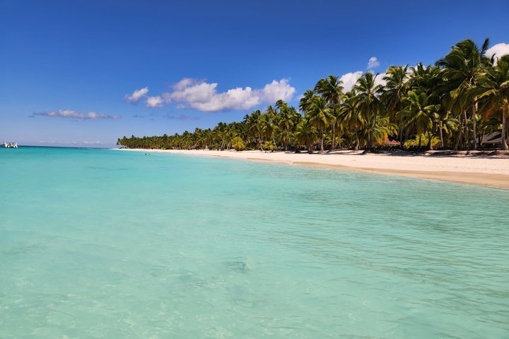 Full day excursion to Saona Island, Dominican Republic, featuring natural pools, beaches, and catamaran cruises, photo 48 | wizardtrip