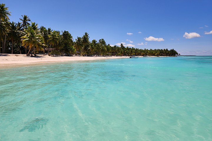 Full day excursion to Saona Island, Dominican Republic, featuring natural pools, beaches, and catamaran cruises, photo 49 | wizardtrip