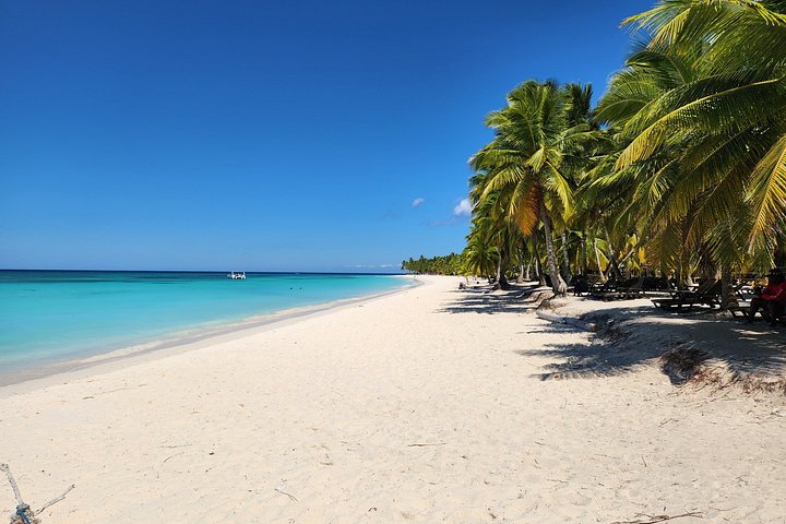 Full day excursion to Saona Island, Dominican Republic, featuring natural pools, beaches, and catamaran cruises, photo 50 | wizardtrip
