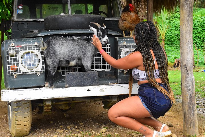 Experimente aventuras emocionantes como tirolesa e passeios de buggy no La Hacienda Park em Punta Cana, foto 18 | wizardtrip