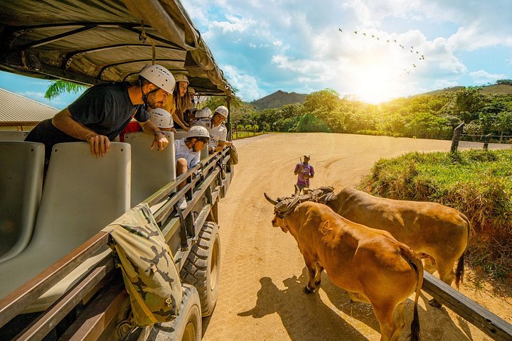 Experimente aventuras emocionantes como tirolesa e passeios de buggy no La Hacienda Park em Punta Cana, foto 25 | wizardtrip