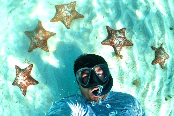 Snorklingstur i Cozumel, Mexiko, med havssköldpaddor och sjöstjärnor, foto 7 | wizardtrip