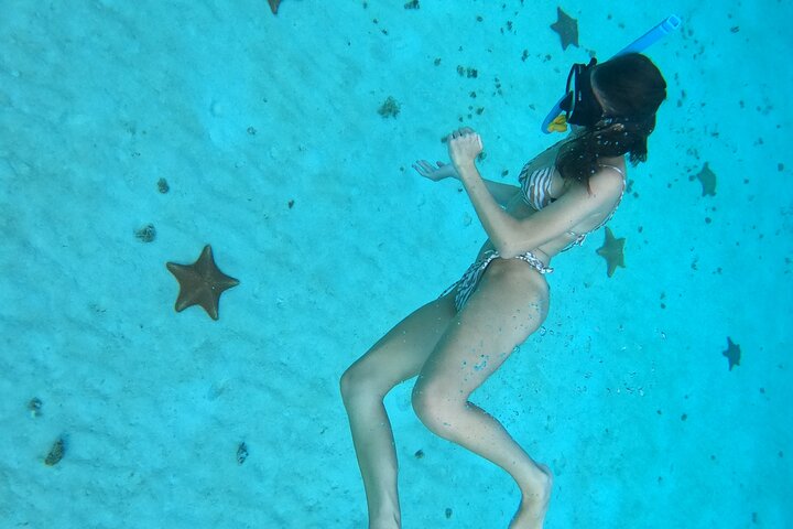 Snorklingstur i Cozumel, Mexiko, med havssköldpaddor och sjöstjärnor, foto 17 | wizardtrip