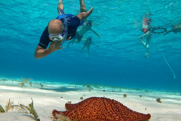 Snorklingstur i Cozumel, Mexiko, med havssköldpaddor och sjöstjärnor, foto 20 | wizardtrip