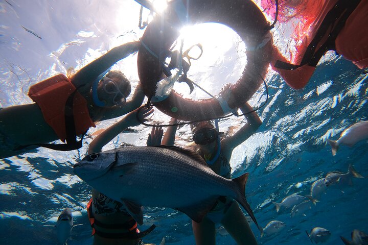 Snorklingstur i Cozumel, Mexiko, med havssköldpaddor och sjöstjärnor, foto 25 | wizardtrip