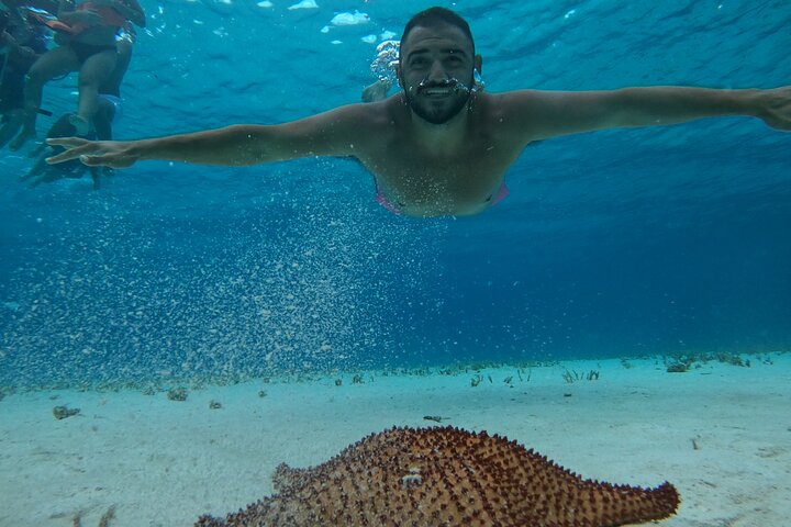 Snorklingstur i Cozumel, Mexiko, med havssköldpaddor och sjöstjärnor, foto 29 | wizardtrip