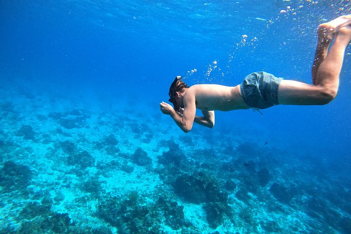 Snorklingstur i Cozumel, Mexiko, med havssköldpaddor och sjöstjärnor, foto 39 | wizardtrip