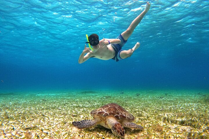 Luksus katamaran snorklingstur i Cozumel, Mexico, besøger Turtle Sanctuary og El Cielo, foto 6 | wizardtrip