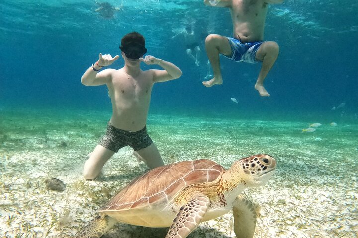 Luksus katamaran snorklingstur i Cozumel, Mexico, besøger Turtle Sanctuary og El Cielo, foto 7 | wizardtrip